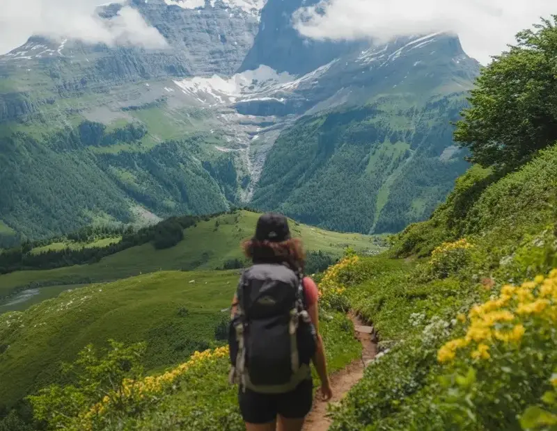 Wildflower Hiking Trail to a Snow-Capped Peak - Summer Adventure