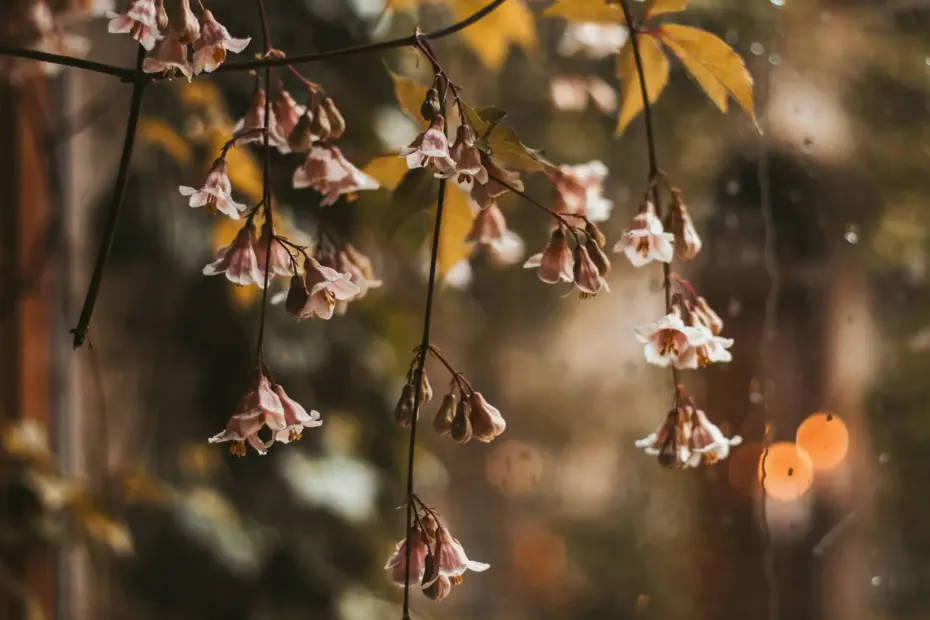 Aesthetic Photography Editing Tips | Create Soft Pastel Tones in Lightroom | For Instagram
